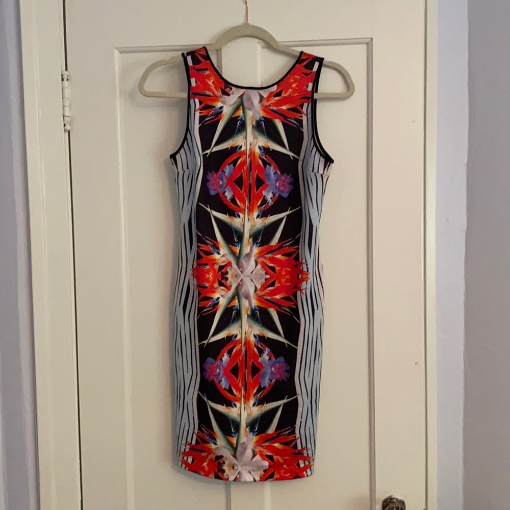 NWOT Clover Canyon Dress!